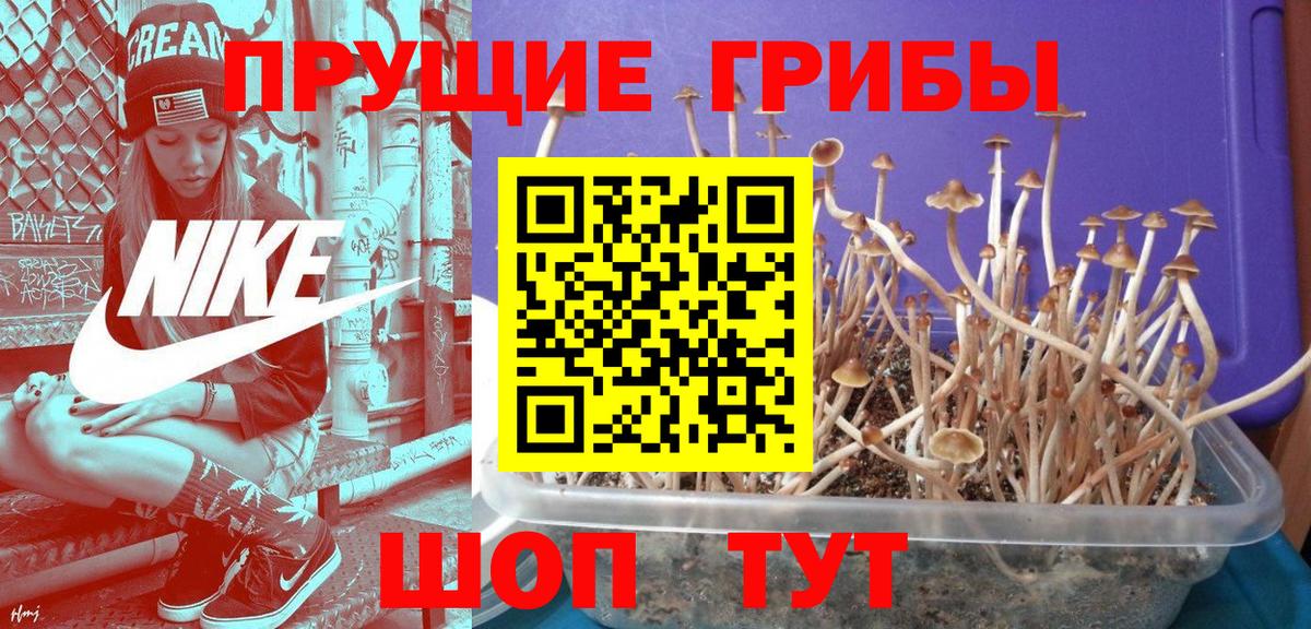 Псилоцибиновые грибы MAGIC MUSHROOMS Казань