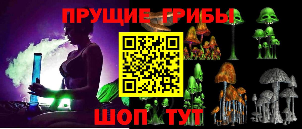 Псилоцибиновые грибы Psilocybe  Галлюциногенные грибы мицелий  Казань  Вход с VPN 